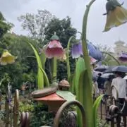 カービィ
