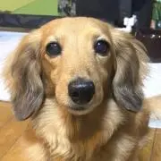 ポン お値下げ可能 即購入OKの画像