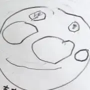 あんの画像