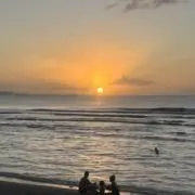 HANIの画像