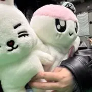きゅうりの画像