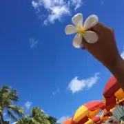 ちゃこの画像