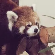 nuenの画像