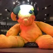 gregryの画像