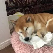 まり