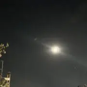 コスモスの画像