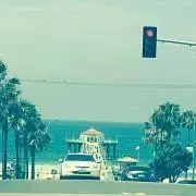 Malibu11846の画像