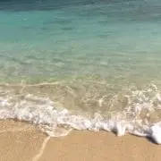 Rinꔛ‬ෆの画像