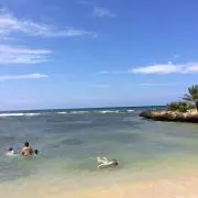 オムの画像