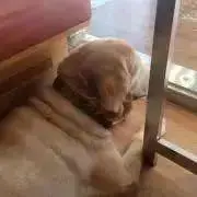 ありさの画像