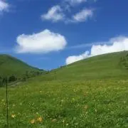 春☆断捨離中☆の画像