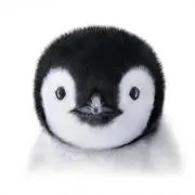 Meの画像