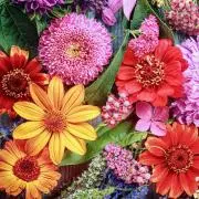 アールイードット　ラグ　玄関マット　お花柄 アールイードット ラグ 玄関マット お花柄 - メルカリ