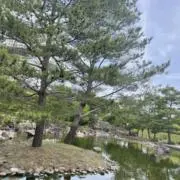 即購入OK｜まとめ割のみ対応◎の画像