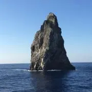 ぴよ六の画像
