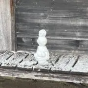 小山田シープル