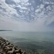 わにの画像