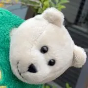 クマーの画像