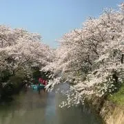 はるき