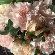 じゅんちゃんの画像