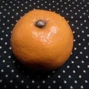 オレンジの画像