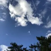 さすけ