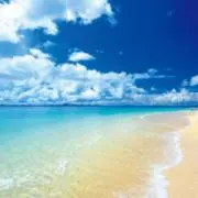 ★☆★marine★☆★の画像