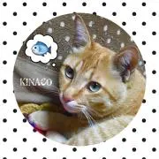 KINACOmix