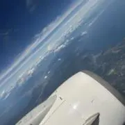 貝柱の画像
