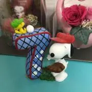 いぬぴの画像
