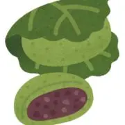 よもぎの画像