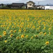 ちぃ★