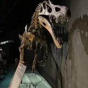 タカオ