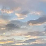 れいの画像