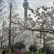 ナカムラナナ