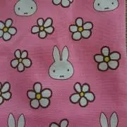 cocoの画像