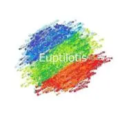 Euptilotisの画像