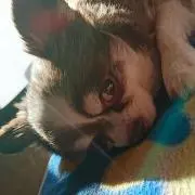 きよ