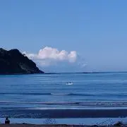 みーちゃんの画像