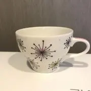 COCOの画像