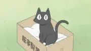 ねこまっしぐらの画像
