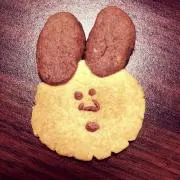 シバタの画像