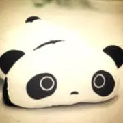 パンちゃん