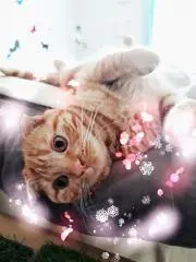 まぁの画像