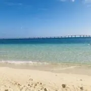 しいの画像