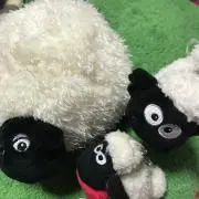 ♪天晴♪