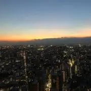 1236の画像