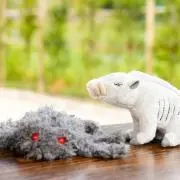 ぶーたんの画像