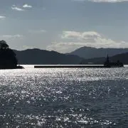 もうすぐ夏真っ盛り