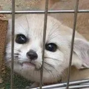 ま@24時間以内ポストミニで発送の画像